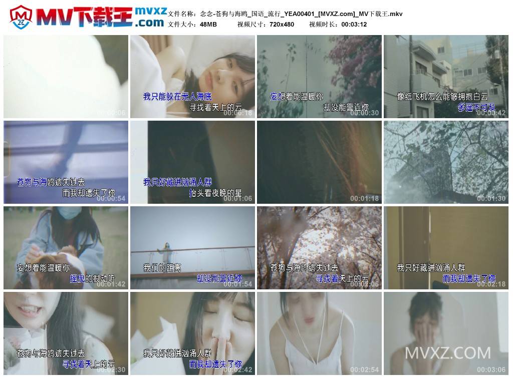 念念-苍狗与海鸥_国语_流行_YEA00401